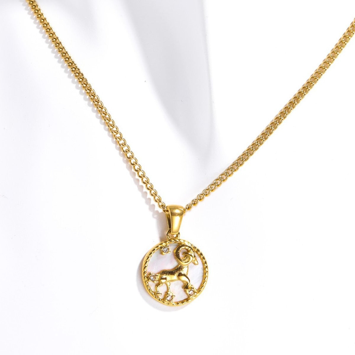 12 Constellations Coin Necklace